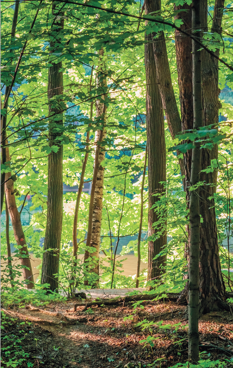 Bom dia, Espírito Santo - Image 4