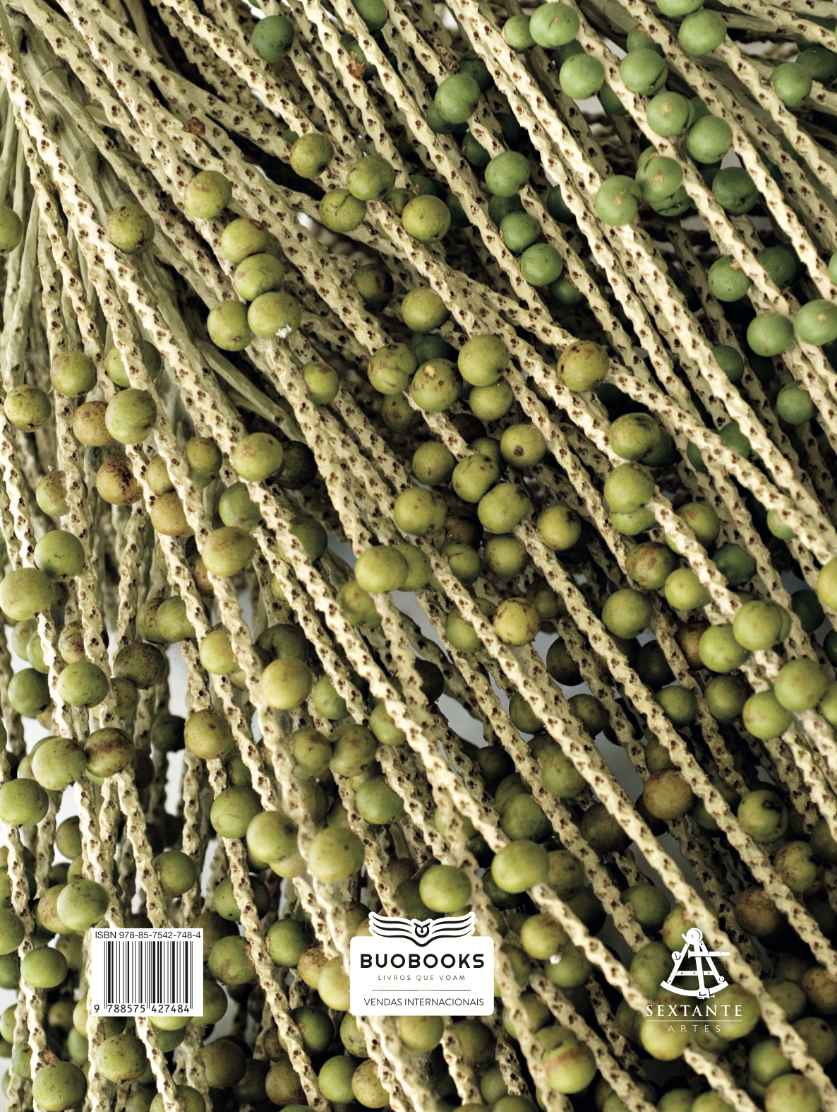 Sabor do Brasil - um livro sobre a culinária brasileira