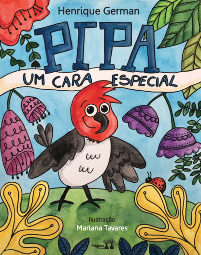 capa do livro Pipa, um cara especial