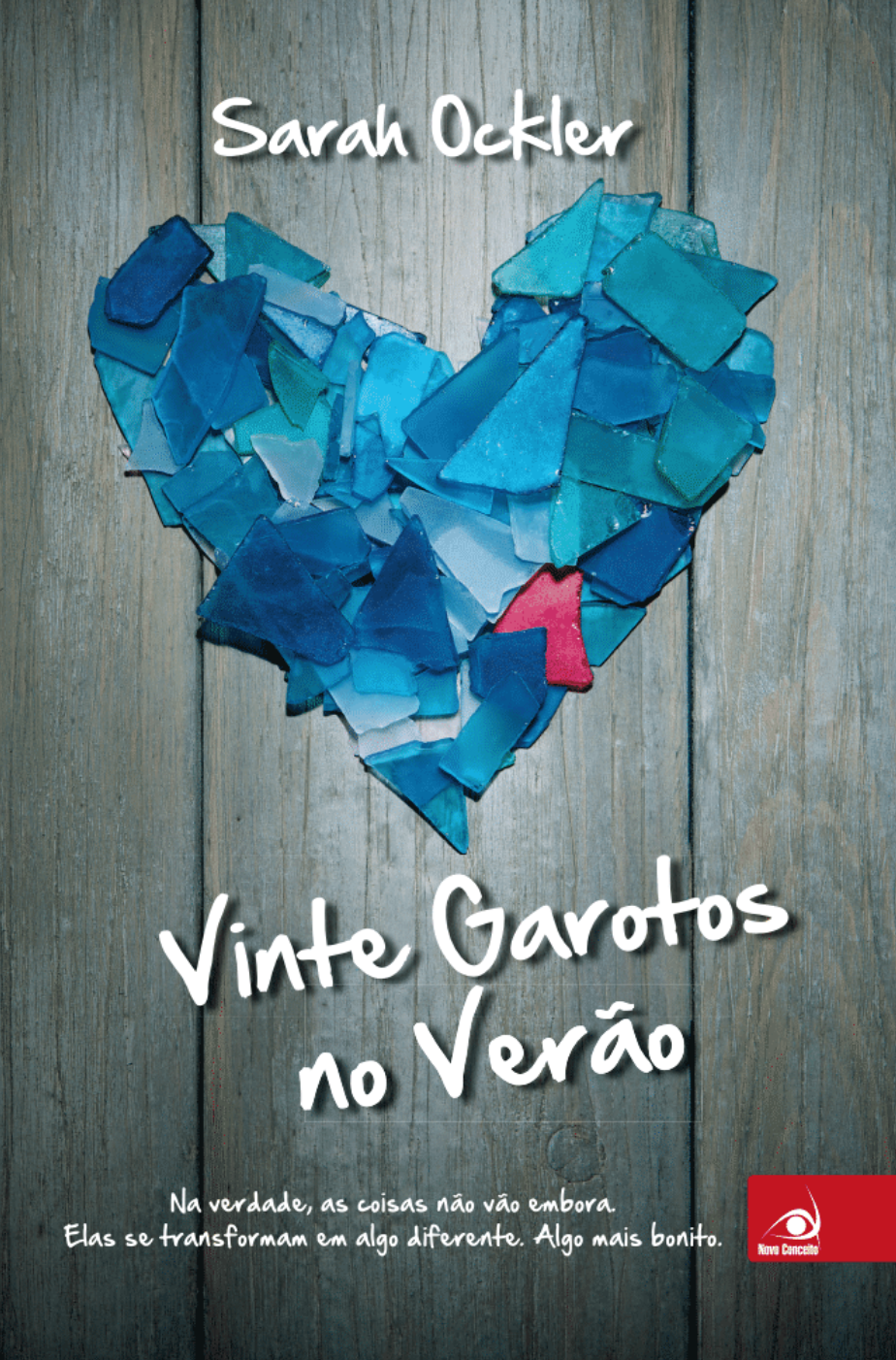 Capa do livro Vinte garotos no verão