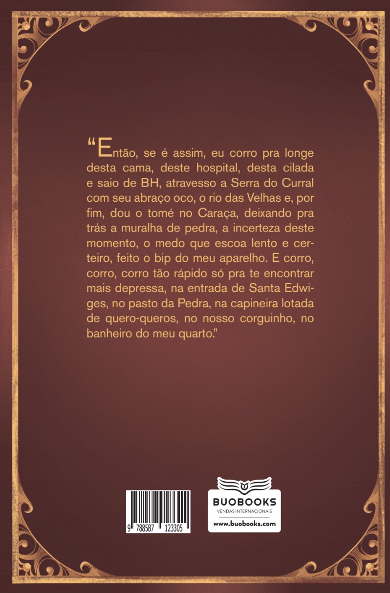 Entre baleias e estrelas