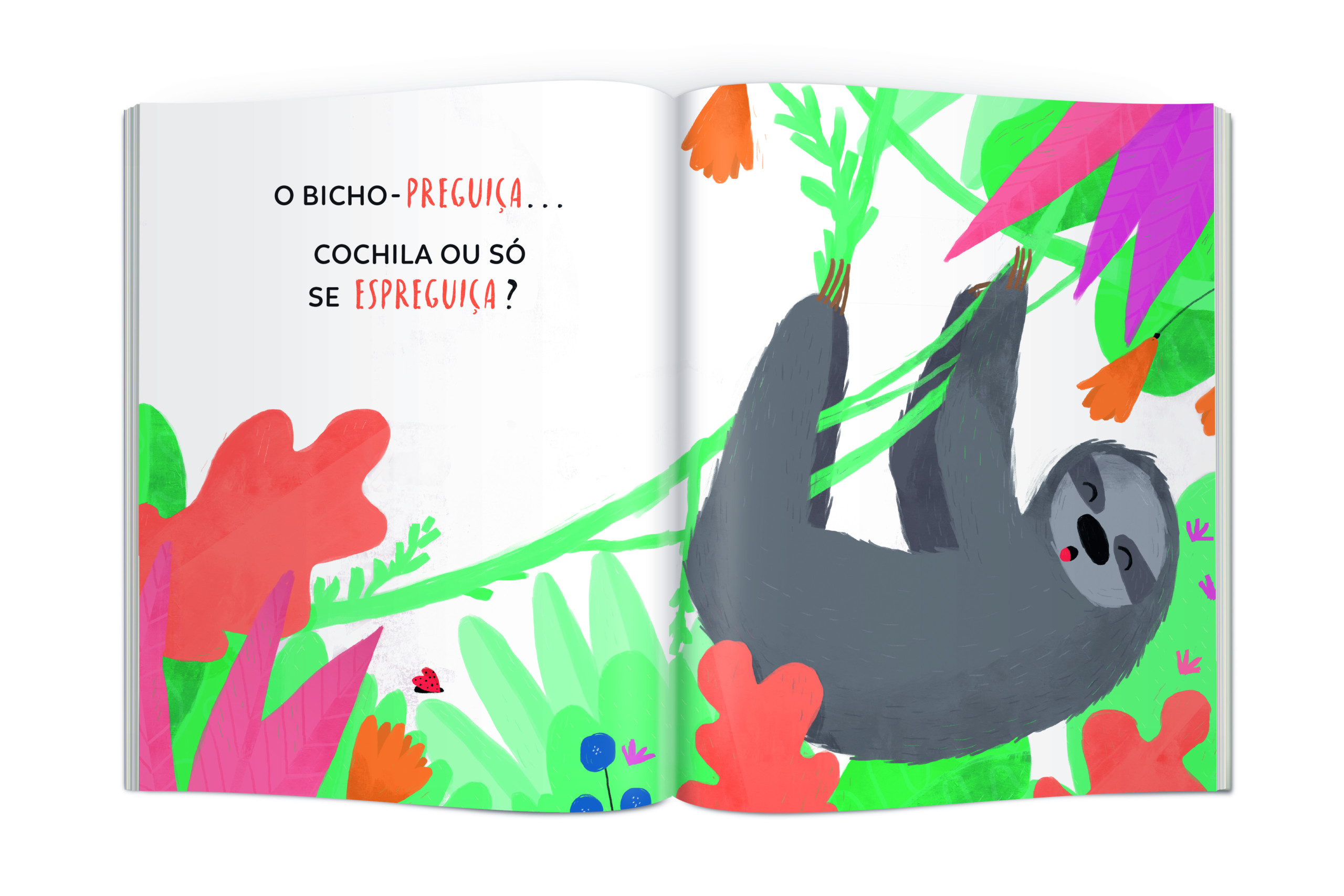 Hora da soneca - Image 4