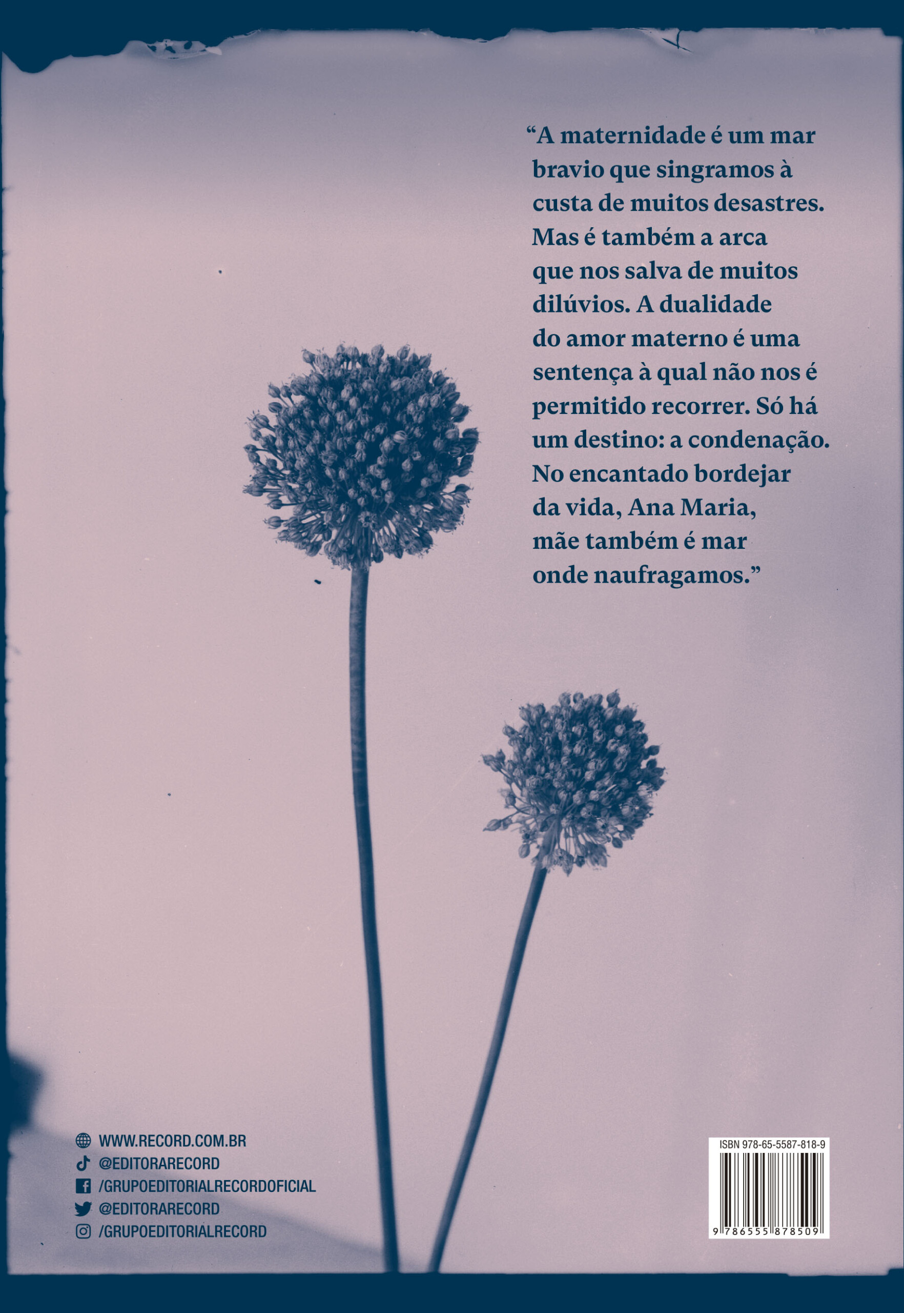 A vida é cruel, Ana Maria - Image 3