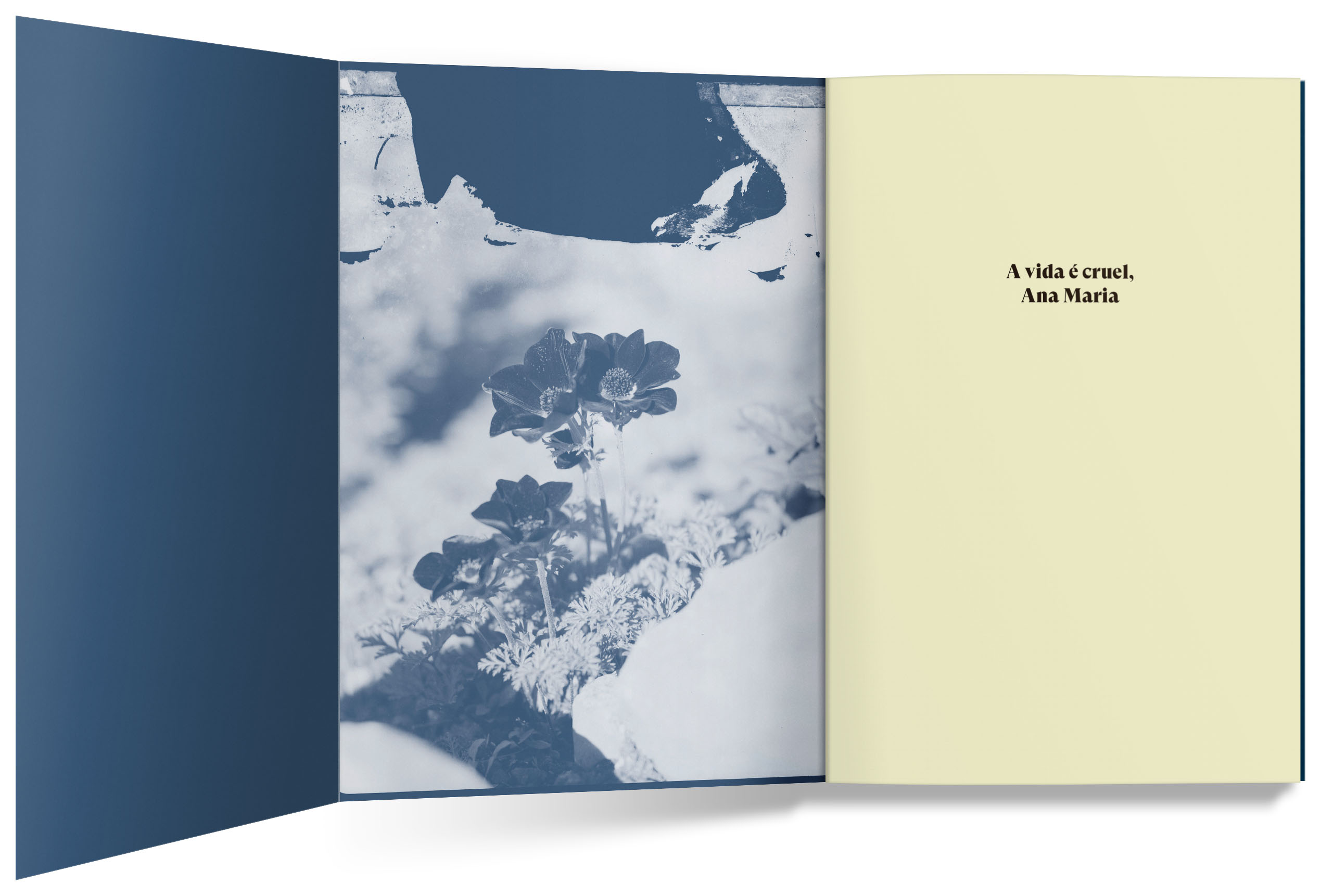 A vida é cruel, Ana Maria - Image 2