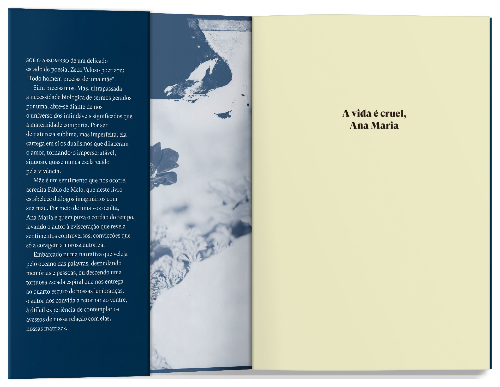 A vida é cruel, Ana Maria - Image 4