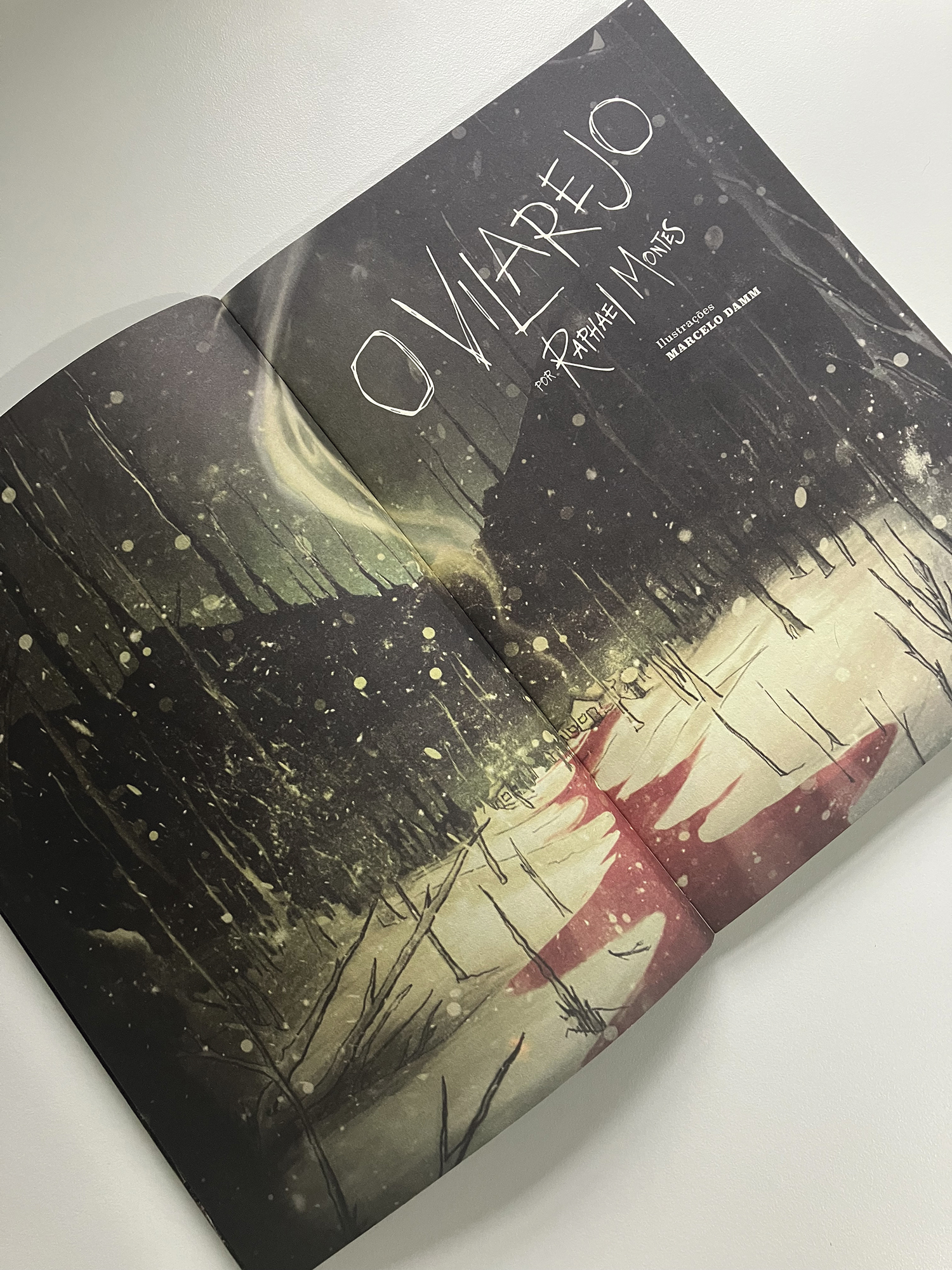 O vilarejo - Image 4