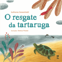 O resgate da tartaruga