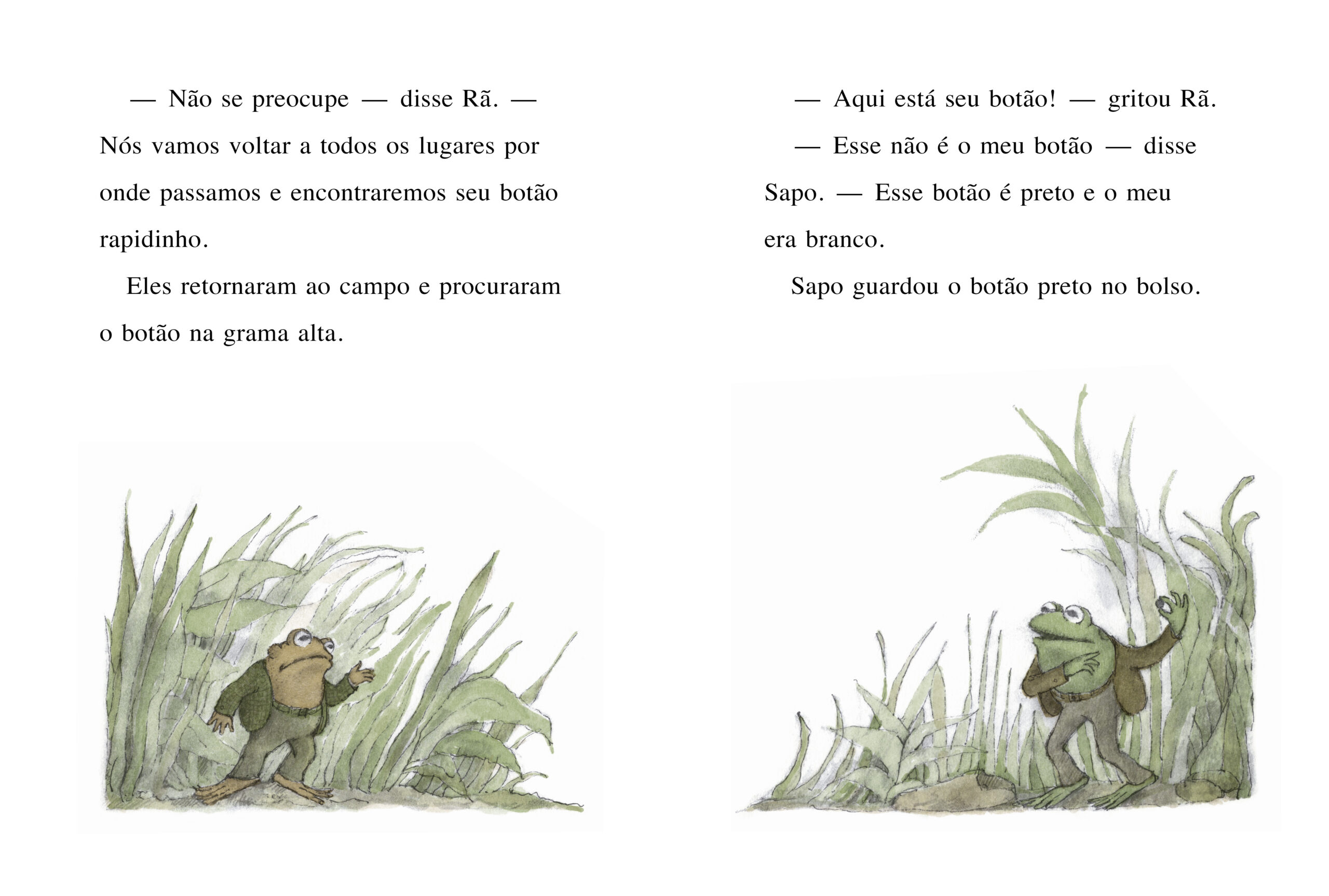 Rã e Sapo são amigos - Image 5